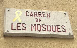 Carrer de les Mosques