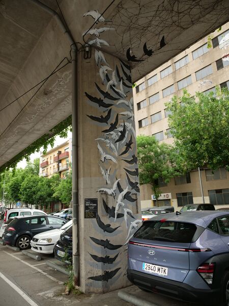 File:2025-06-08 16-56-48 birds sotavies-urban-gallery.JPG