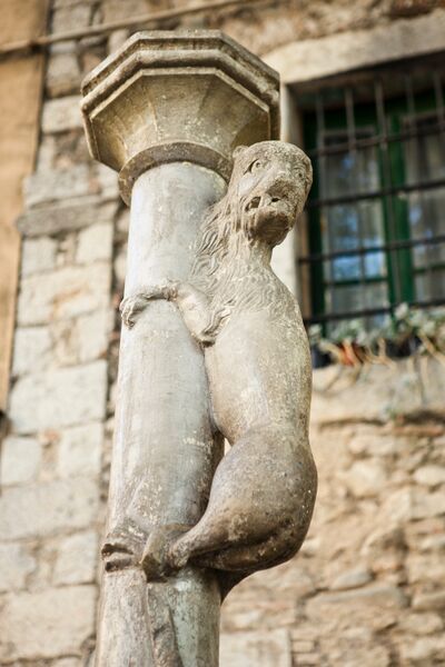 File:AdobeStock 41181428 la-lleona.jpeg